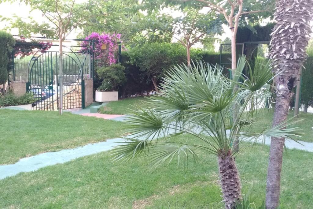 apartamento moderno Benidorm Esterno foto